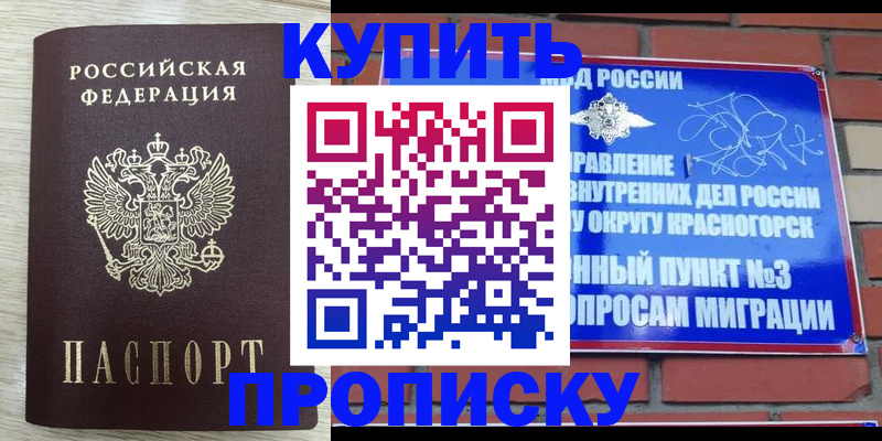 прописка гарантия в Опочке